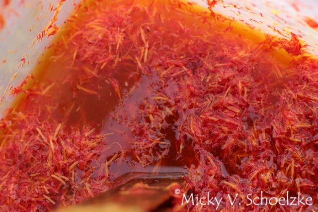 Extraction des colorants jaunes