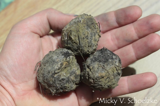 Boules d'indigo - Indigo balls