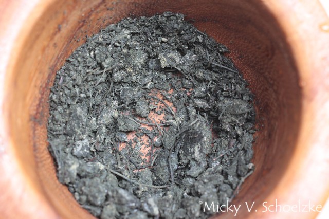 Indigo broyé - Crushed indigo