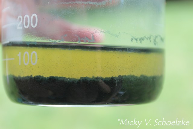 Extraction pigment Pastel